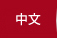 中文